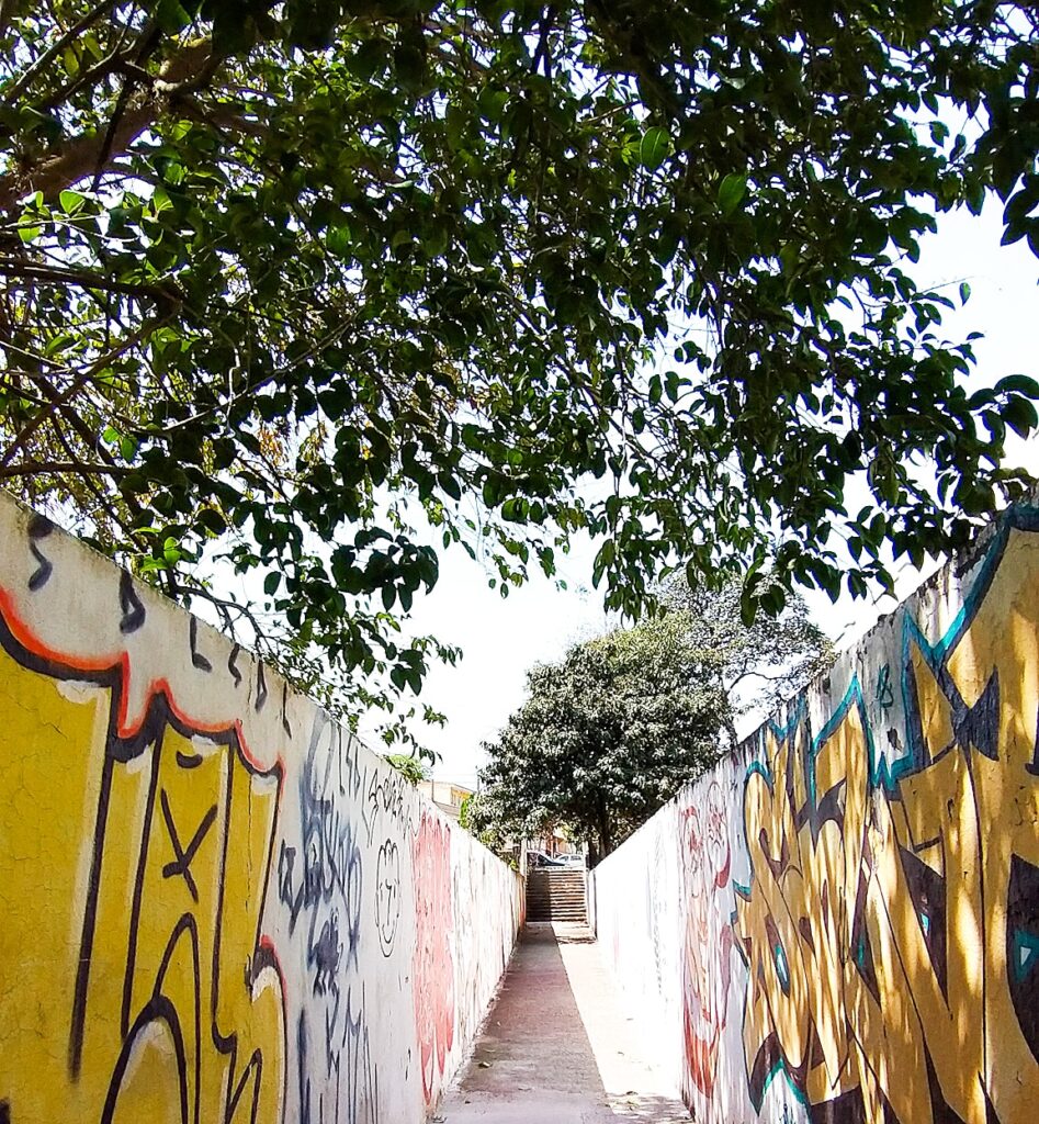 05-Heitor Nunes - Sem Titulo