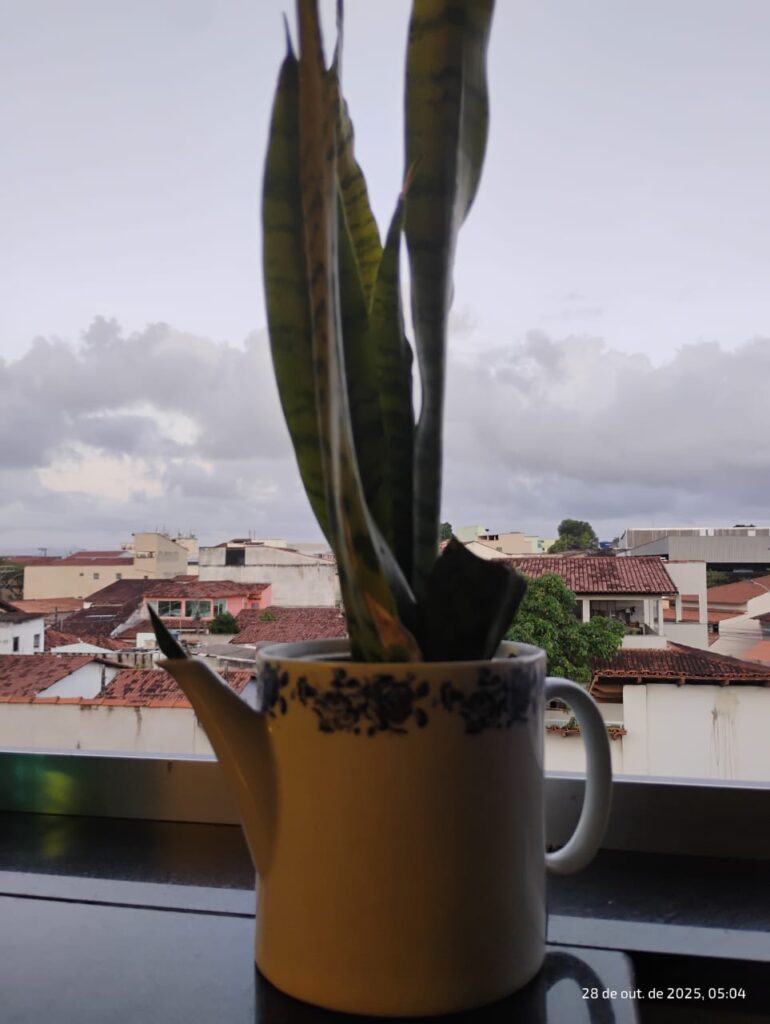 16-Viviane Simmer-Fragmentos de amor