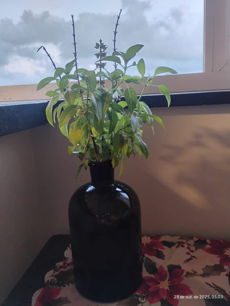 17-Viviane Simmer-Vasos da Vida