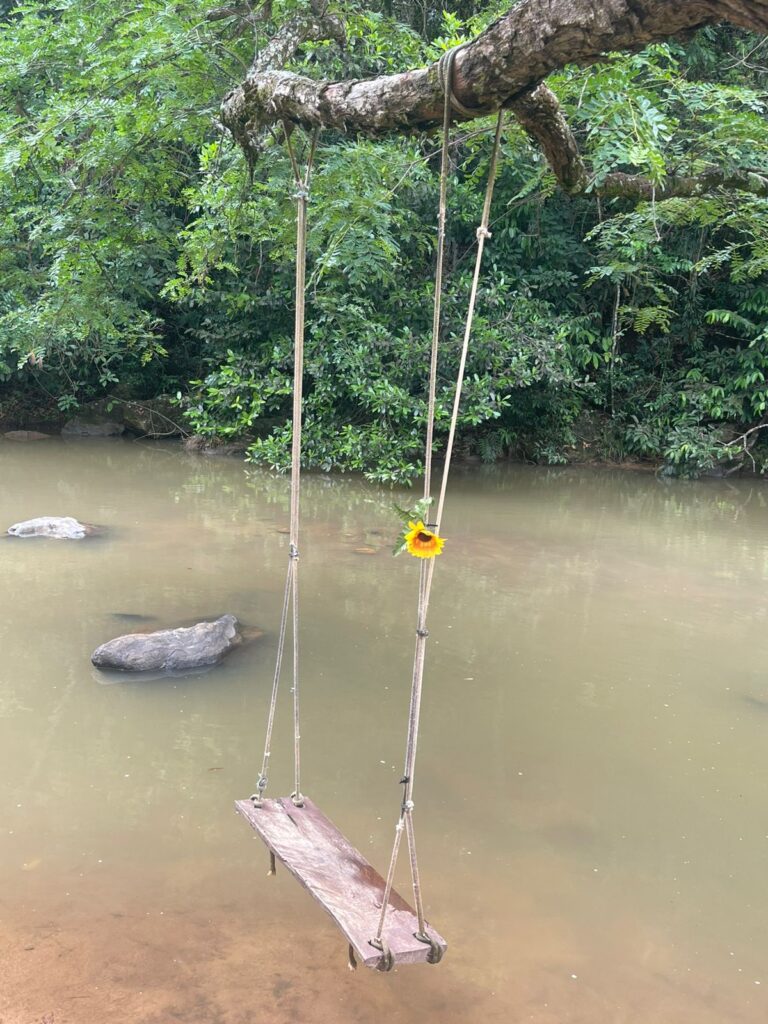 27-Joseane Leonel-O balanço