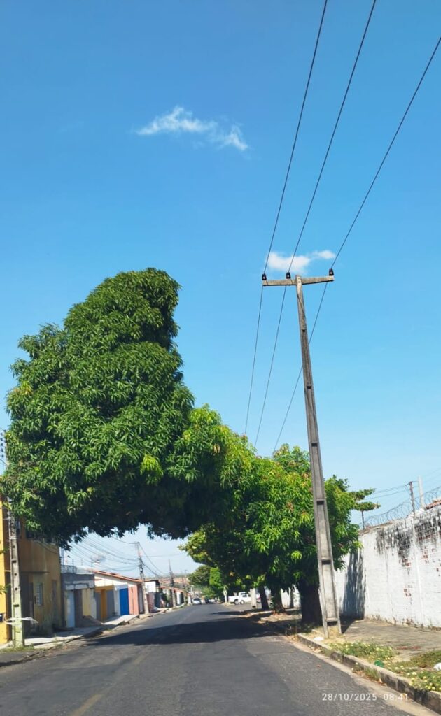 28-Regina Reis-O que falta