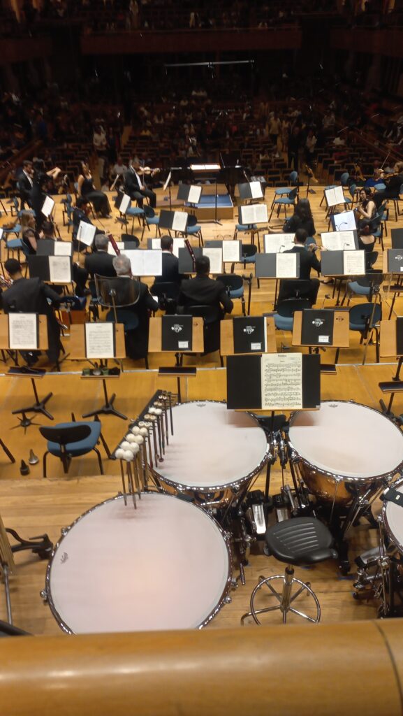 Terezinha Maximo - Orquestra se ajeitando